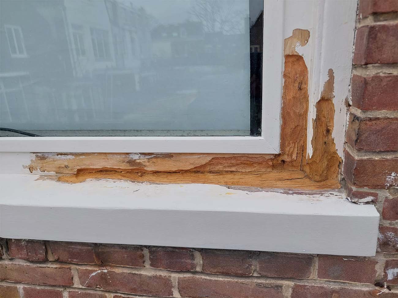 Kozijn houtrot schade in Den Haag